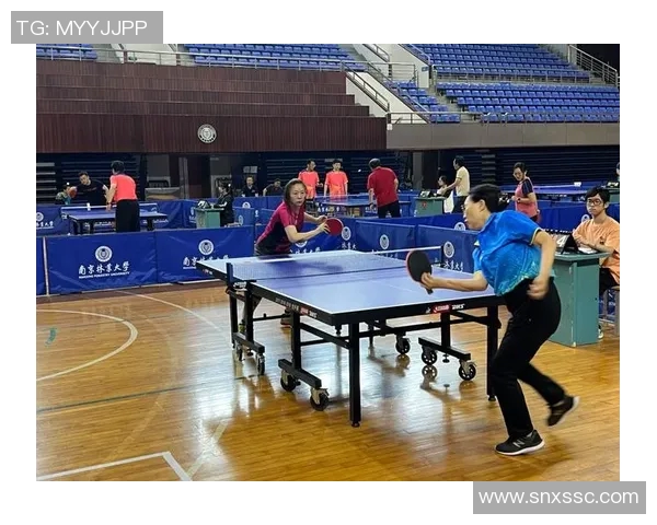 乒乓球的魅力揭秘：深入南京乒乓球队的技术与训练之道