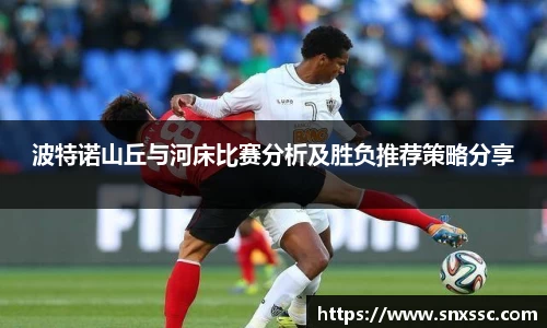 波特诺山丘与河床比赛分析及胜负推荐策略分享