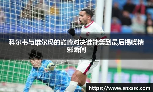 华体会官网