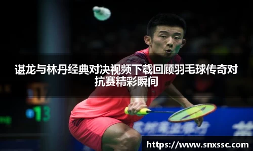 谌龙与林丹经典对决视频下载回顾羽毛球传奇对抗赛精彩瞬间