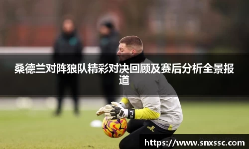 桑德兰对阵狼队精彩对决回顾及赛后分析全景报道