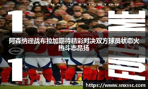 华体会APP